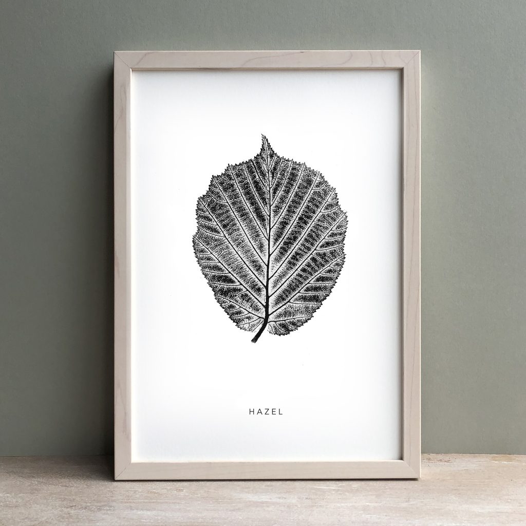 Prints & Cards